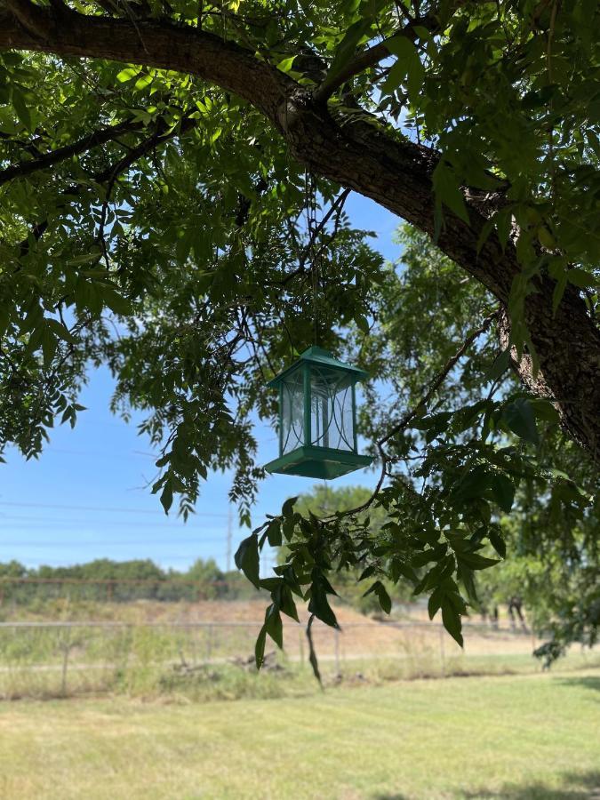 Pet Friendly Graham Home Route 66 At The Mistletoe Farm Exterior foto